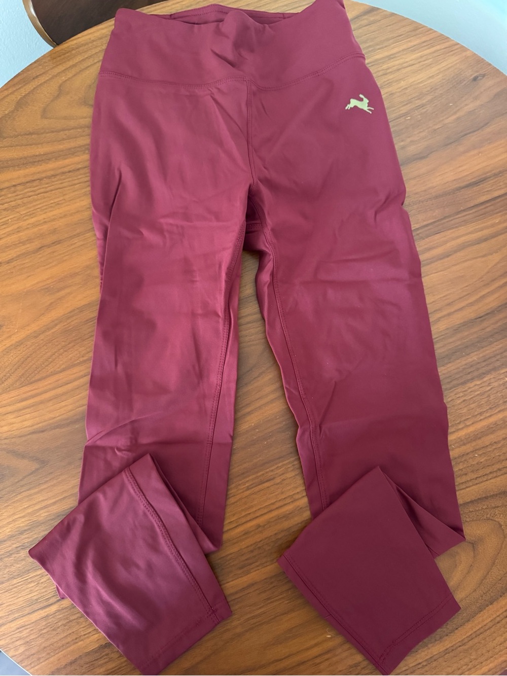NWOT Tracksmith Twilight Leggings